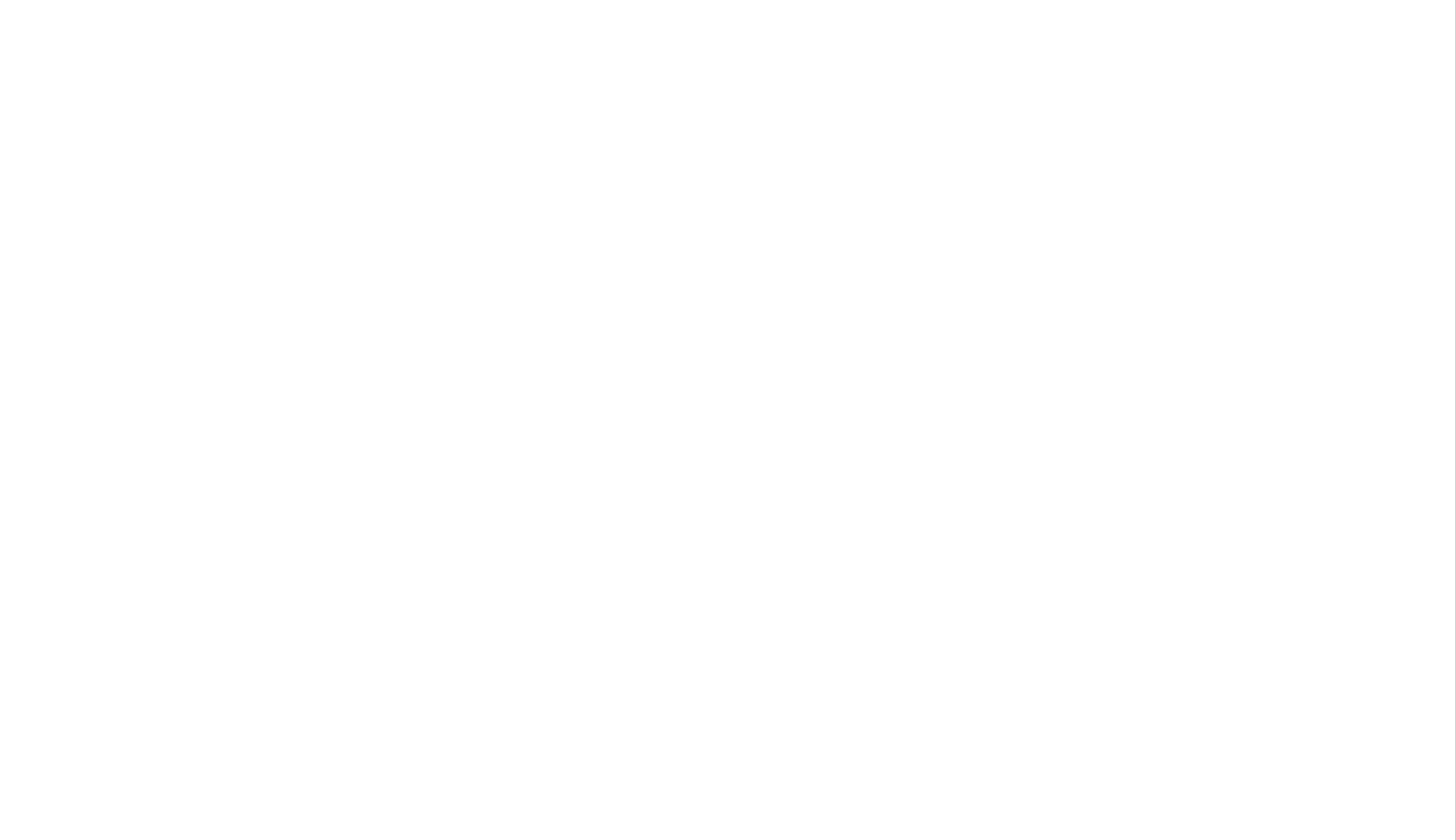 White Soul Peace Holistic Healing logo with lotus motif